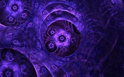 2014 04 26 Evening Plastic 43-black.jpg